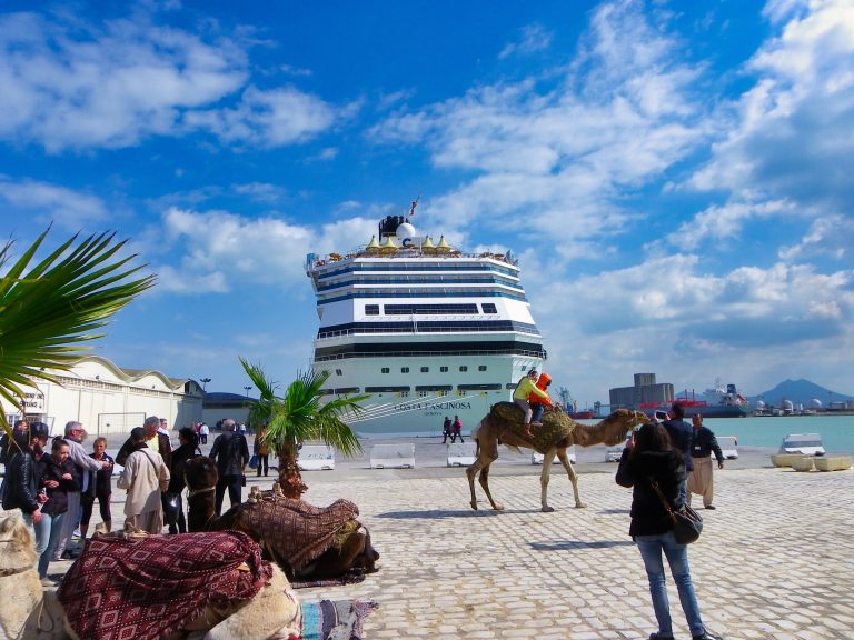 Cruise ship and a camel