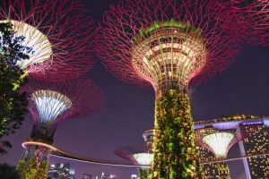 Gardens by the Bay, Singapore