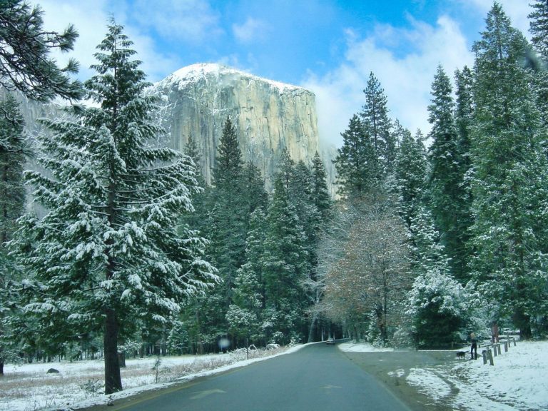 Road in a snowy forest with a peak