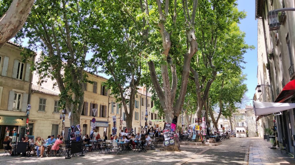 Avignon, Place des Carmes