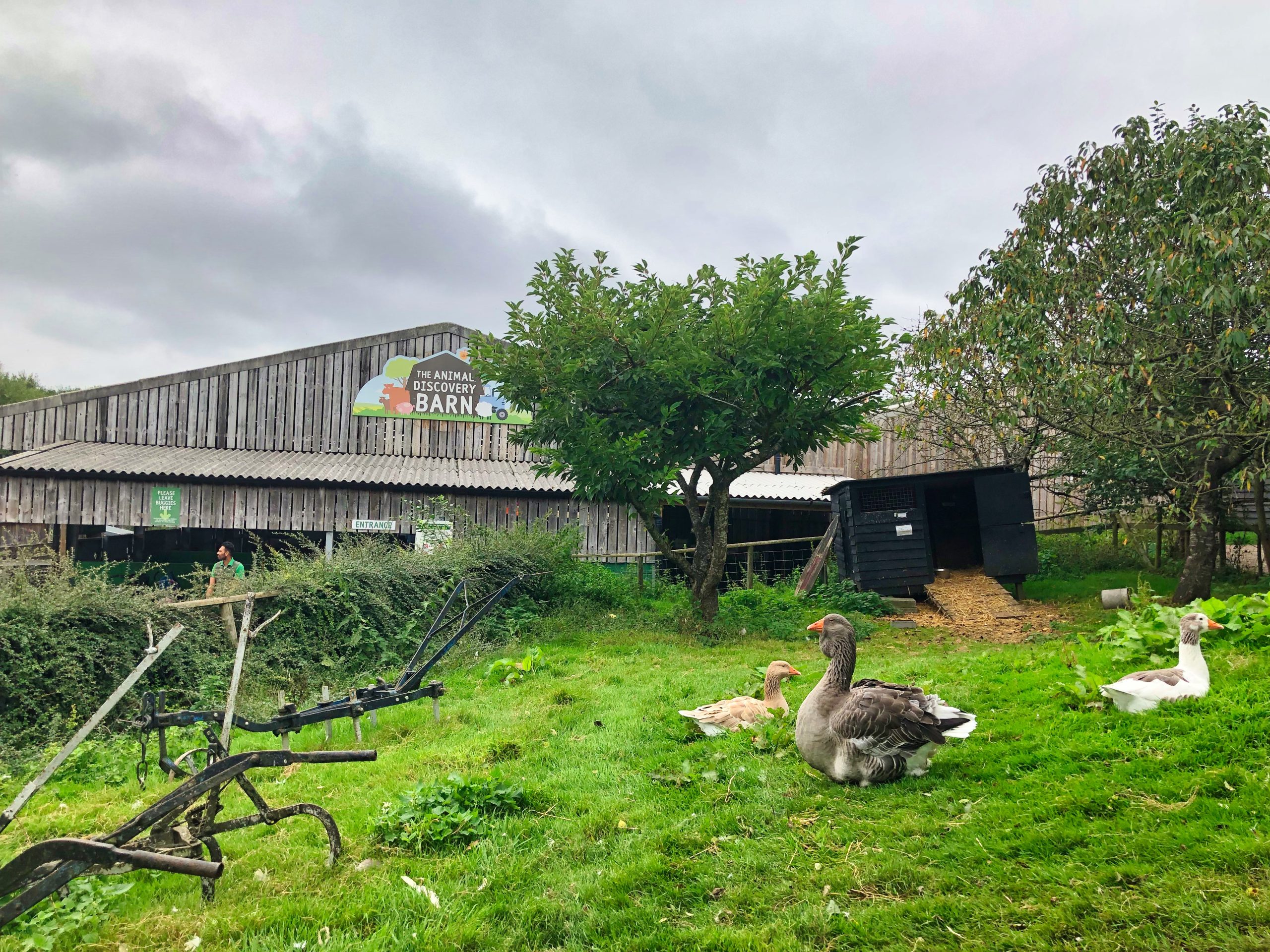 A day at Bocketts Farm in Surrey Home Travel Guide