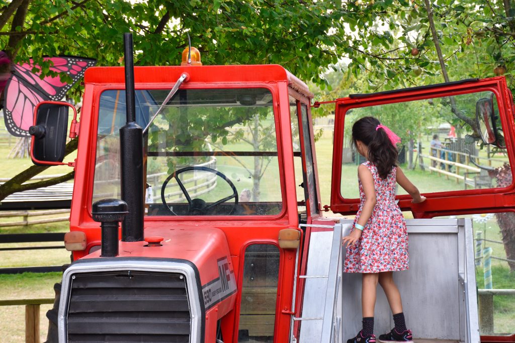 Discover the Farm Life at Bocketts Farm, in Surrey