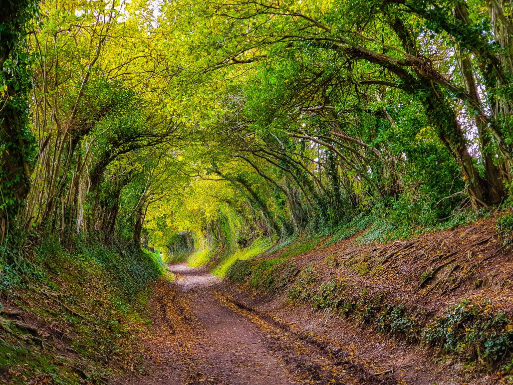 Halnaker Windmill Walk is one of the most beautiful walks in the UK