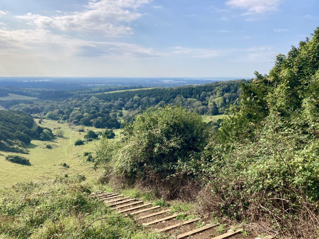 Kingley Vale in South Downs National Park, West Sussex