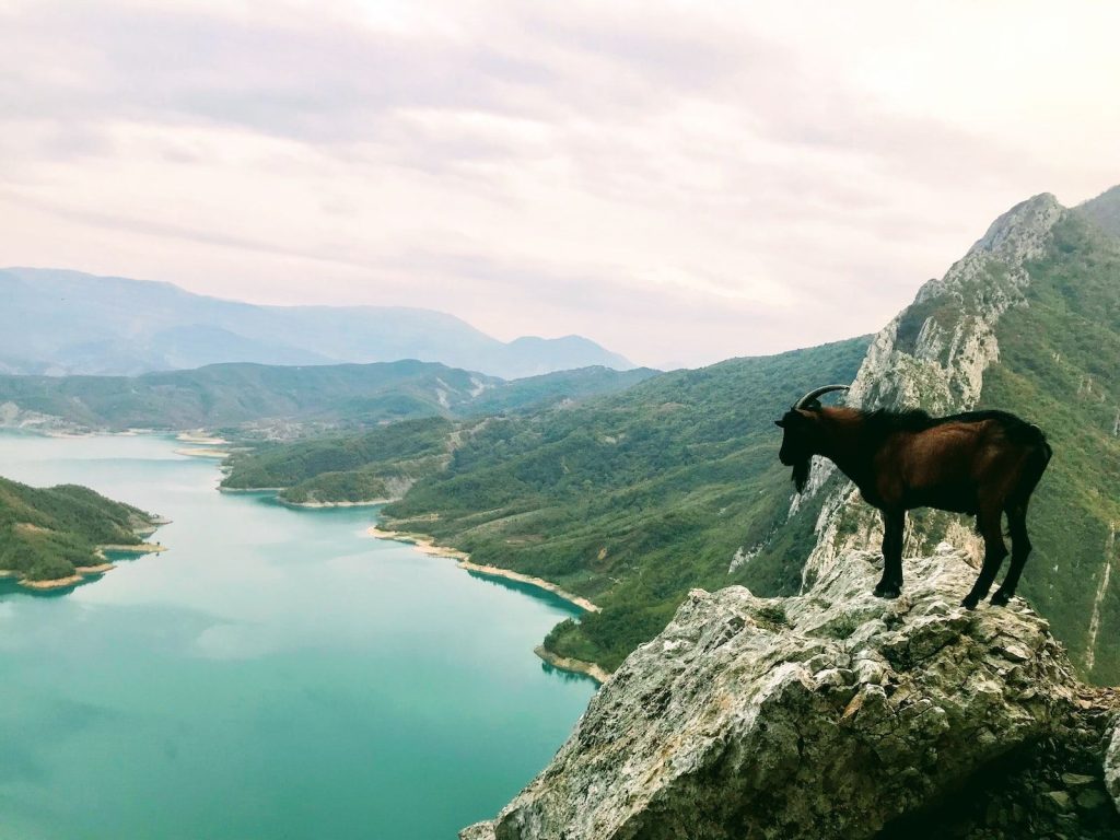 Albania