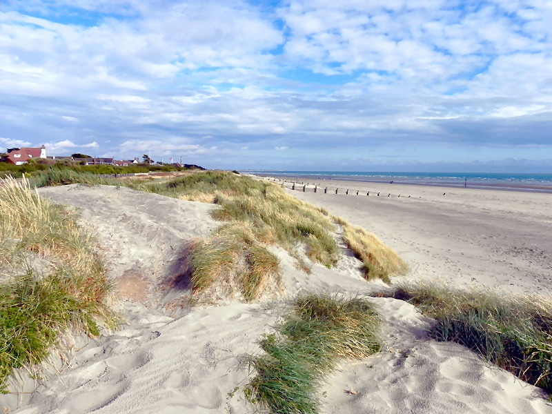 Sand Dunes and Beach with blue sky