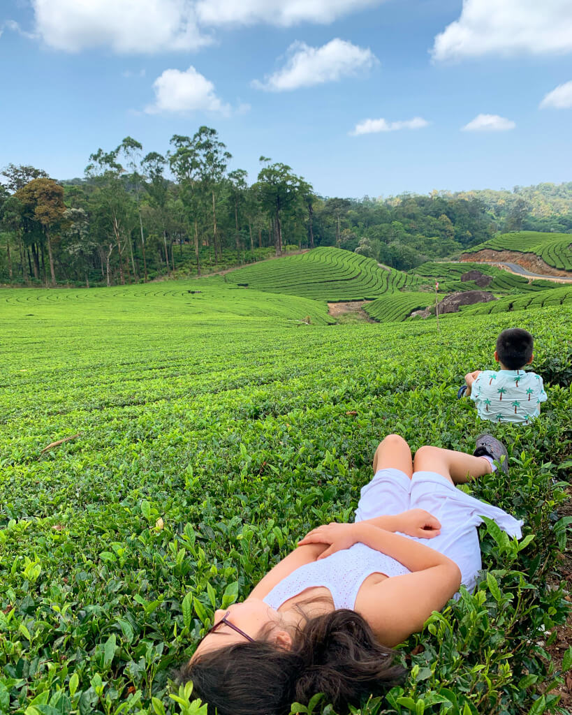 Girl napping on a tea tree in the tea plantation