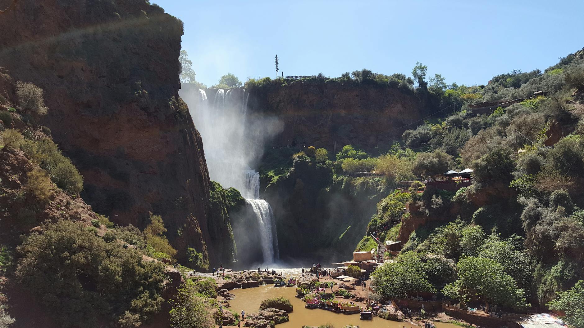 waterfall near green trees during daytime