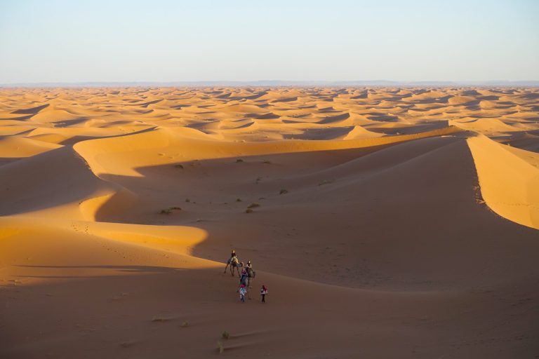 Desert, Sand dunes and camels