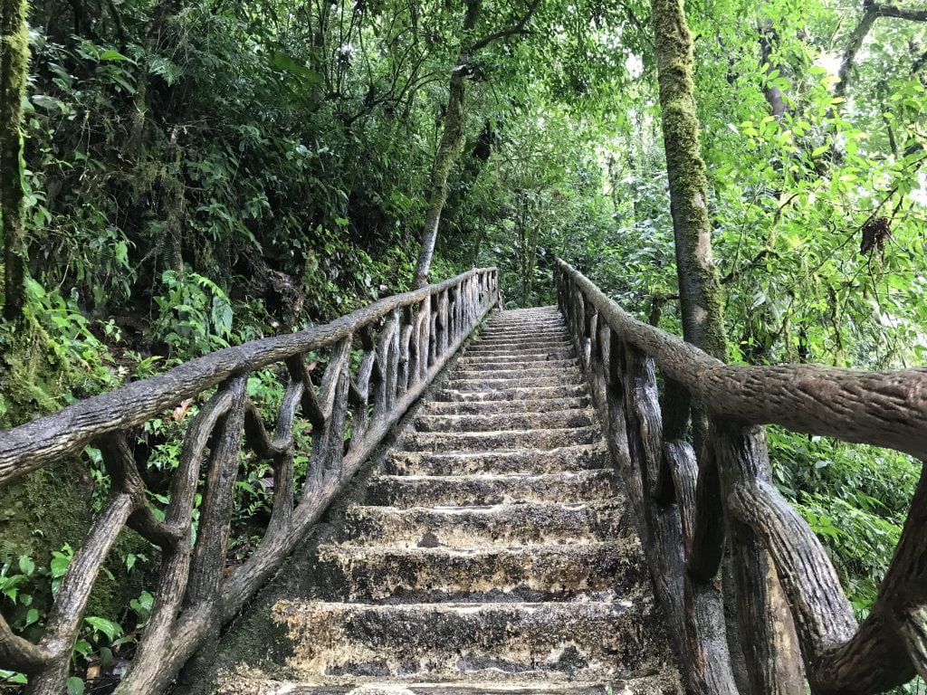 long stairs in the forrest with beautiful wooden handlebars