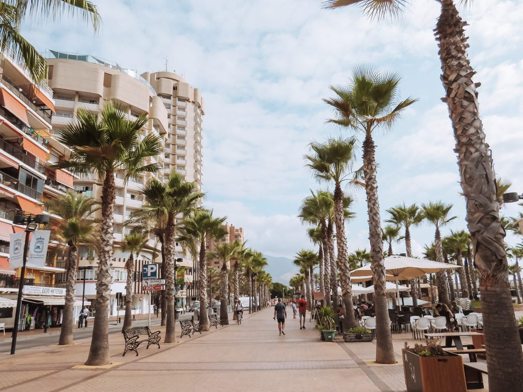 Sea front walkway with palm trees