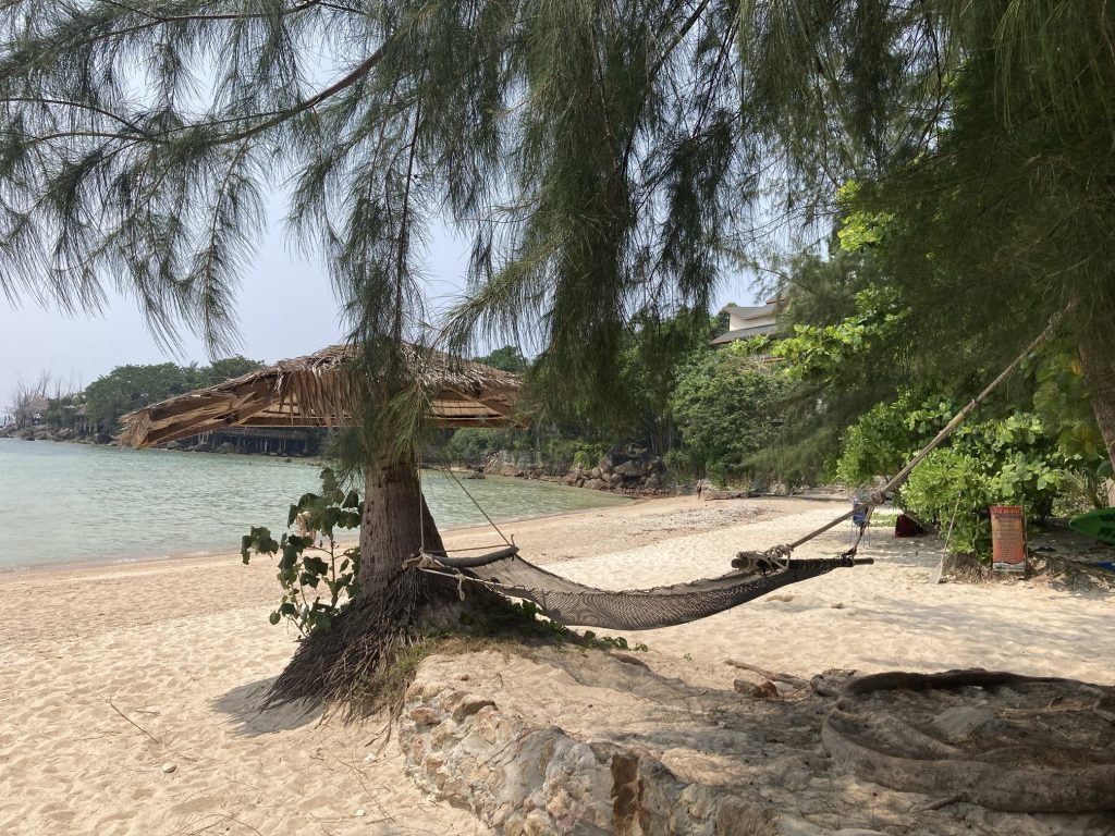 Hammock on a beach under a palm tree with blue water