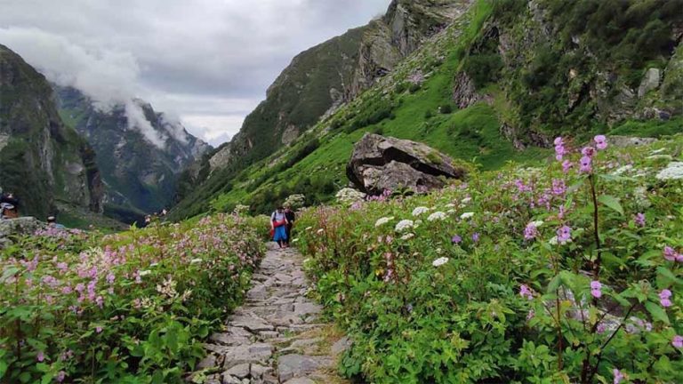 Trekking Tales: Stories from the Valley of Flowers